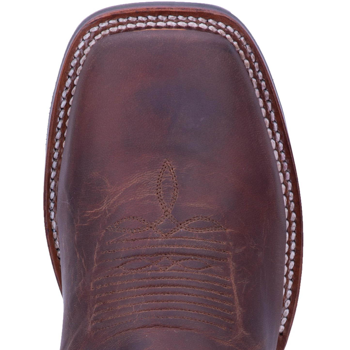 DP4556 Winslow