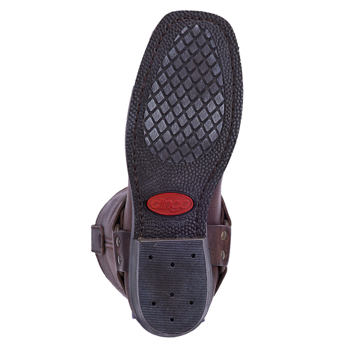 Di7374 Molly Gaucho