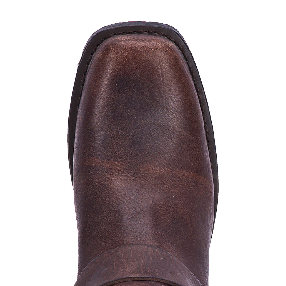 Di7374 Molly Gaucho