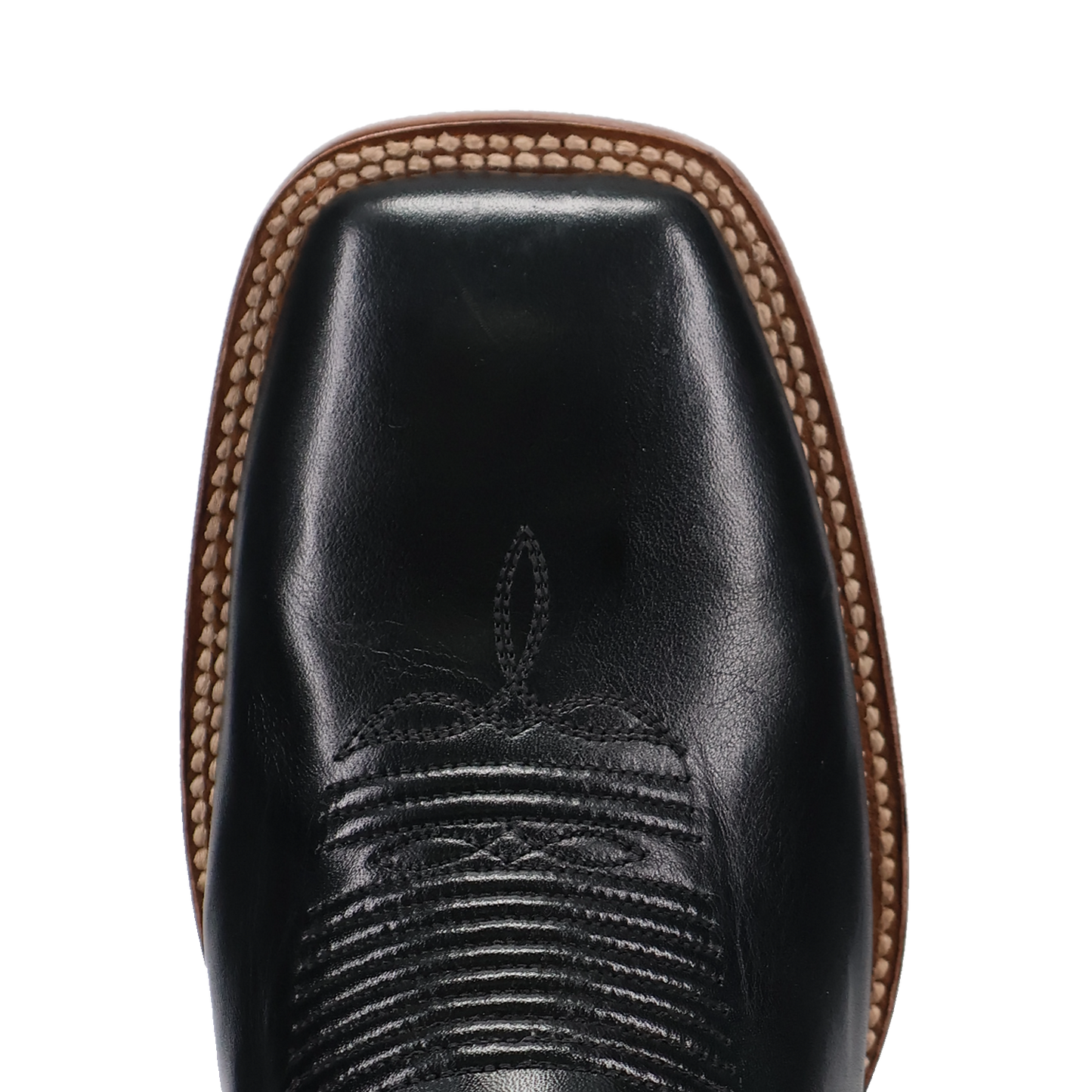 DP5273 Sonara