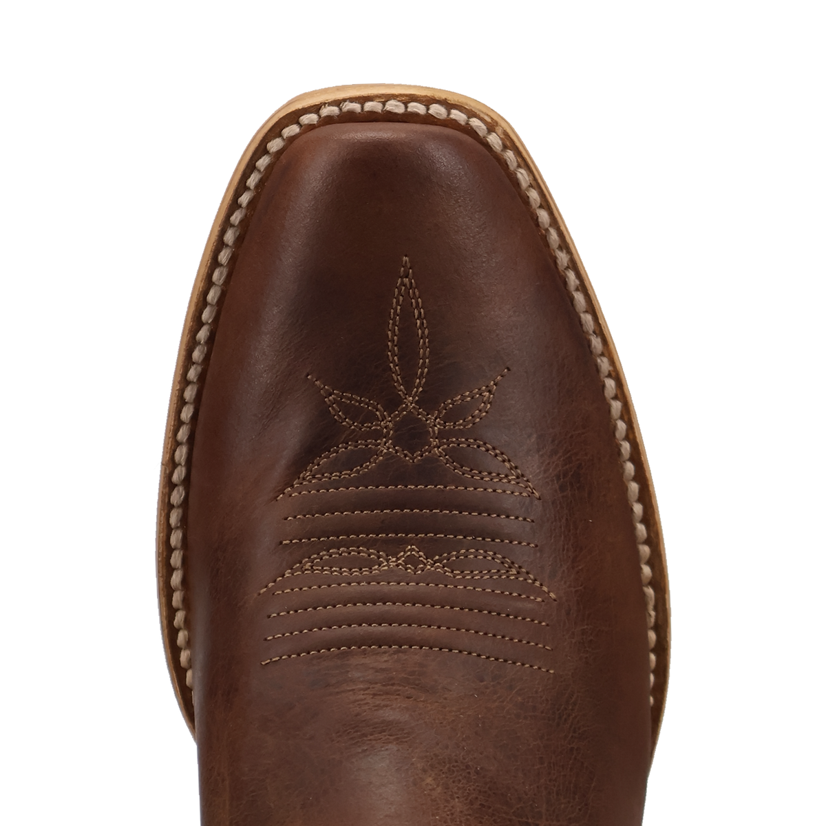 DP5308 Ravelle