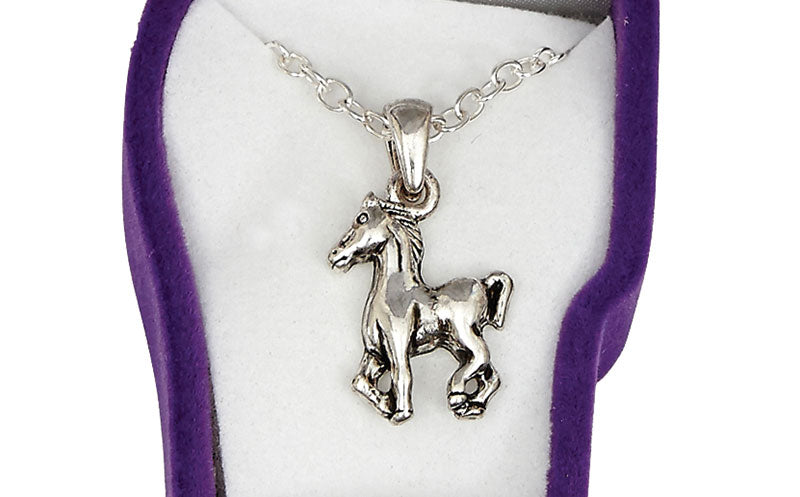 HN-6 - Prancing Pony Necklace in blue Pony Head Gift Box